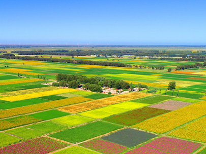 智慧灌區(qū)信息化系統(tǒng)助力灌區(qū)節(jié)水，打造綠色生態(tài)新農(nóng)業(yè)